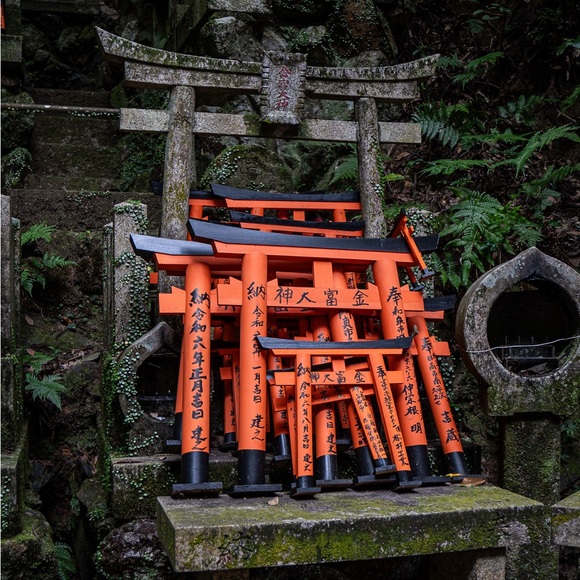 Tan stretchy shorts medium euc ona - Picture 5 of 8